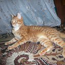 ���� ����, ������ - ��������� 20 ����� 2010 � ������ ����� � ������