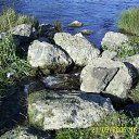 ���� �������, �������, 38 ��� - ��������� 11 ��� 2010 � ������ ���� ����� ����� �������