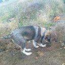 ���� �����), �������� - ��������� 30 ������ 2011