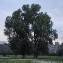   ™, , 54  -  14  2010   Krasnoyarsk