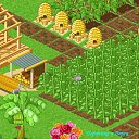 ���� ��������, ������ - ��������� 15 ������� 2011