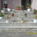 ���� ��������, �����, 69 ��� - ��������� 19 ���� 2012