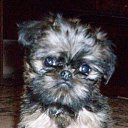 ���� ���������, ������� - ��������� 11 ������� 2010 � ������ �����