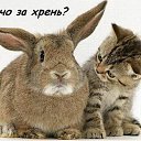 ���� - Dashenka, ��������, 27 ��� - ��������� 11 ����� 2012 � ������ ���� ����������
