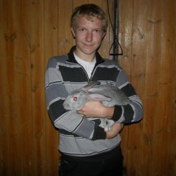 �����, ������ ����, 28 ���