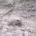 ���� ��������, �����������, 53 ���� - ��������� 7 ������� 2012 � ������ ���� ����������