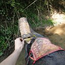 ���� �������, ����, 38 ��� - ��������� 31 ����� 2012 � ������ �������