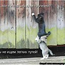 ���� ˸��, ����, 44 ���� - ��������� 26 ���� 2012 � ������ ������