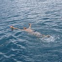 ���� Gennadii, ������� - ��������� 7 �������� 2012 � ������ �������