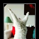 ���� Katoteshi, �������, 45 ��� - ��������� 11 ������� 2011 � ������ ������