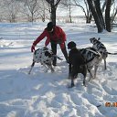  Nadezhda, , 52  -  27  2011    ϸ, ,       / My Dogs, Horses, Cats and others