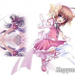 ���� Clawdeen, ������, 24 ���� - ��������� 29 ������ 2012