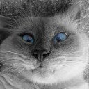 ���� �������, ������� ��������, 38 ��� - ��������� 8 ������� 2012