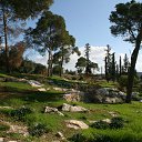 ���� �����, ����-����, 61 ��� - ��������� 22 ������� 2011 � ������ ���� ����������