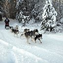 ���� �����, ������������, 60 ��� - ��������� 11 ���� 2013 � ������ ���� ����������