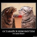 ���� ������, �����������, 51 ��� - ��������� 7 ��� 2012 � ������ �������