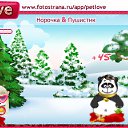 ���� ��������, �����-��������� - ��������� 28 ������ 2010 � ������ �PetLove�