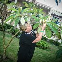 ���� ����, �����-���������, 65 ��� - ��������� 10 ������ 2013 � ������ ���� ����������