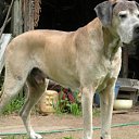 ���� ��� ����, ����, 67 ��� - ��������� 20 ��� 2011 � ������ �������