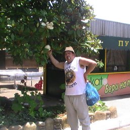 ���� ����, ����, 62 ���� - ��������� 14 ������ 2012