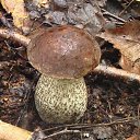 ���� ���, ����� - ��������� 18 �������� 2011 � ������ ��������� ������������