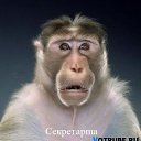 ���� ��������, ������, 46 ��� - ��������� 20 ������� 2013