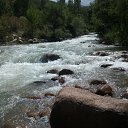 ���� �������, ��������, 41 ��� - ��������� 6 ������� 2011 � ������ ���� ����������