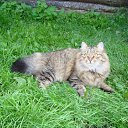 ���� Tochka, ����������� - ��������� 21 ������ 2010 � ������ �������