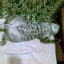 ���� ������, ������� �������� - ��������� 17 ������ 2012 � ������ ���� ����������