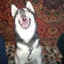 ���� �������, ������������, 42 ���� - ��������� 19 ������� 2011 � ������ ���� ����� � ���-�������.�