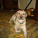 ���� �������, ��������, 46 ��� - ��������� 30 ����� 2012 � ������ ���� ����������