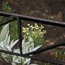  , -, 57  -  28  2012      !!!