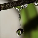 ���� �����, ������, 26 ��� - ��������� 11 �������� 2010 � ������ �����