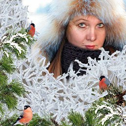 ���� ��������� ������, ������������ - ��������� 8 ������� 2012