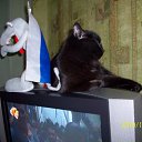 ���� �����, ���������, 50 ��� - ��������� 30 ������ 2012