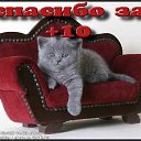 ������ �������-�� ������ ������! ������ �������-������ �������! ������ �� ����-����� ���������! ������ ���� ������ �������� ����. �� ������� ���� ����������