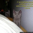 ���� �����, ������ �����, 50 ��� - ��������� 2 ������ 2009 � ������ ��������� ��������