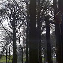 ���� ��op�, ����, 44 ���� - ��������� 25 ��� 2013 � ������ �Woburn Safari Park(Uk)�