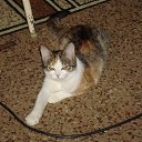 ���� �����, �������������, 25 ��� - ��������� 28 ���� 2013 � ������ ���� ����� �����.�