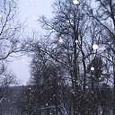 ���� ����, ������, 44 ���� - ��������� 23 ��� 2010 � ������ ��������