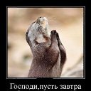 ���� ������, �����, 52 ���� - ��������� 22 ������ 2013