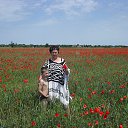 ���� �������, ���������, 67 ��� - ��������� 3 ����� 2013 � ������ ���� ����������