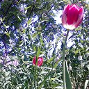 ���� Natali, ������, 67 ��� - ��������� 23 ������� 2012 � ������ �������