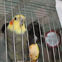 ���� ��������, �����-���������, 37 ��� - ��������� 9 ������� 2012 � ������ ������������