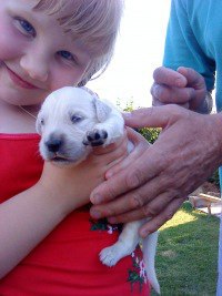 ���� ������, ������� ����, 22 ���� - ��������� 16 ���� 2013