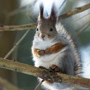 ���� �����, �������������, 25 ��� - ��������� 28 ���� 2013 � ������ ������������. ������� ��������� ����������� 2010.�