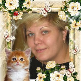 ˸��, �����������, 46 ���