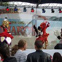  , , 85  -  15  2010   FFest 2010