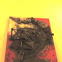 ���� �����, �����-���������, 59 ��� - ��������� 31 ����� 2010 � ������ �������� �����