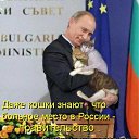 ���� �����, ������, 51 ��� - ��������� 15 ������ 2011 � ������ ���� ����������